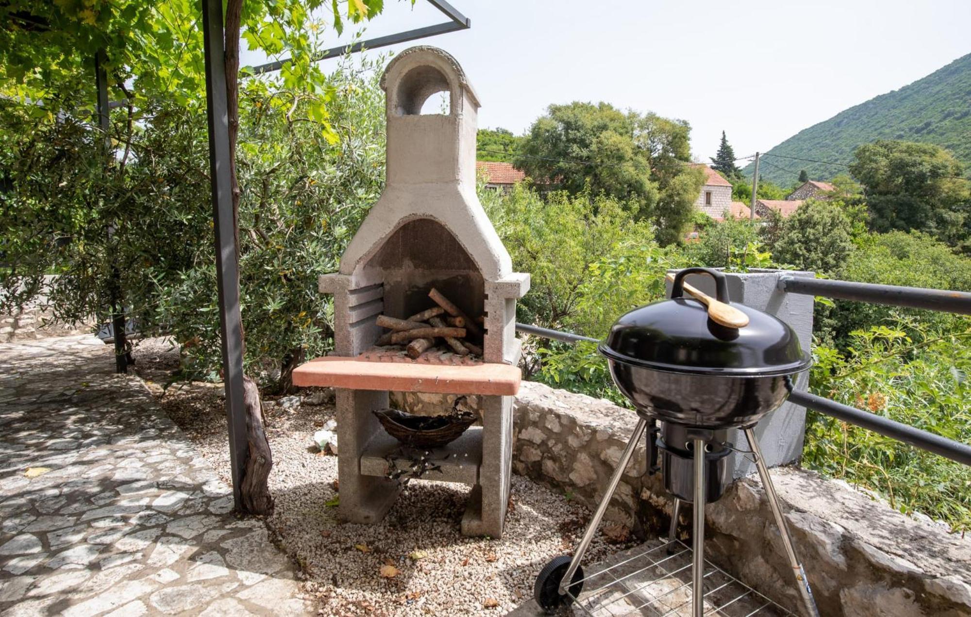 فيلا Rural House Janjic بلوتشي المظهر الخارجي الصورة