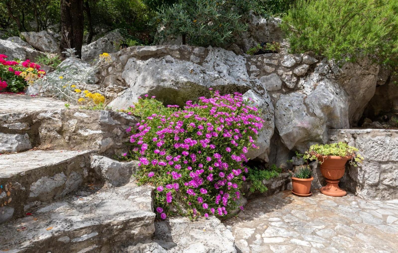 فيلا Rural House Janjic بلوتشي المظهر الخارجي الصورة